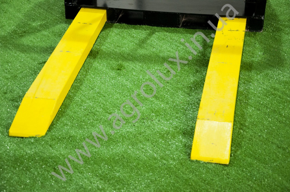 ���� ������� ��� ������� �������