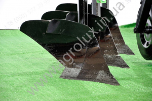 ³���� ����� (�����) 30 ����� ������ ( ��������� ) 